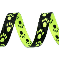 Popruh fluorescenčný na vodítko/obojok balenie 5 m